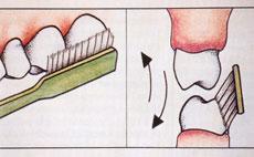 ilustracija pokreta koje treba praviti prilikom pranja zuba