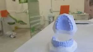 model zuba