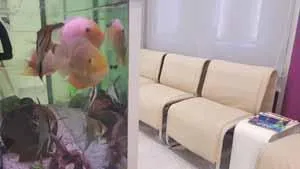 čekaonica kod zubara Dental SPA i akvarijum